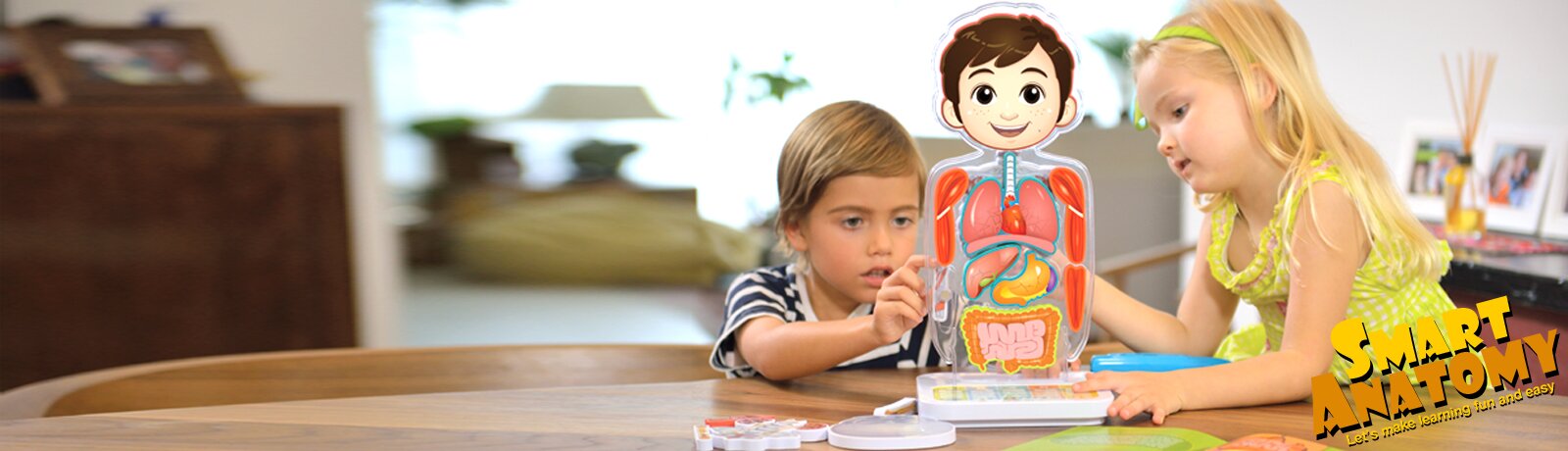 Smart Anatomy - Interactive Human Body
